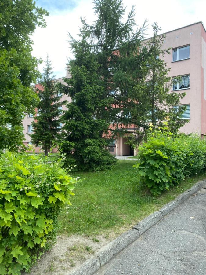 Zb Apartment Beige Piekary Śląskie Eksteriør bilde